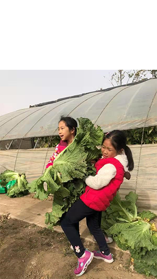 662d65b9c56ad9f6313e1bc7e214789b.png 风景6.png