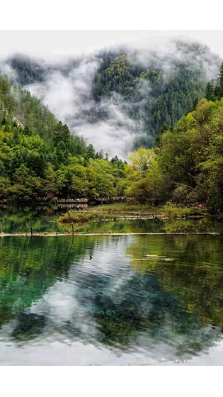 8e073e230a5f24b3d893aa89f36fe96a.png 风景1.png